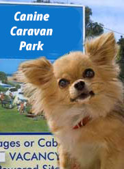 Canines in caravan parks