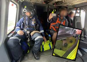 Dog in rescue helicopter