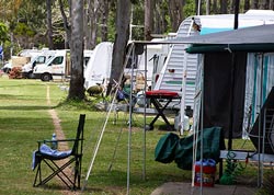 A Fraser Coast caravan park