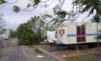 Uprooted trees at Black Rock caravan park