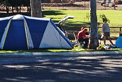 Campers at home on the rest area's plush grass at Tiaro